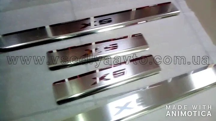 Накладки на пороги BMW X5 II (E70) с 2006 г. (Premium)